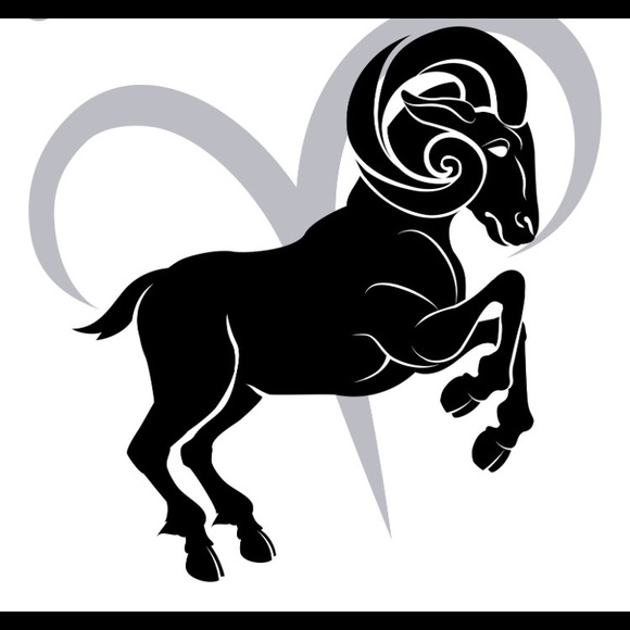 Meet your Posher, Daniel - Picture 1 of 1